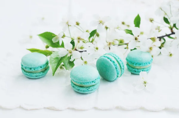 Nane macaroons ve vintage dantel bardak altlığı peçete çiçek kiraz çiçekleri
