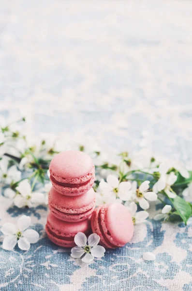 Montón de macarrones de frambuesa y flores de cereza —  Fotos de Stock