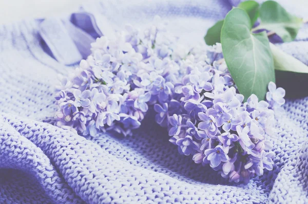 Fiori lilla teneri sopra maglione lavorato a maglia — Foto Stock