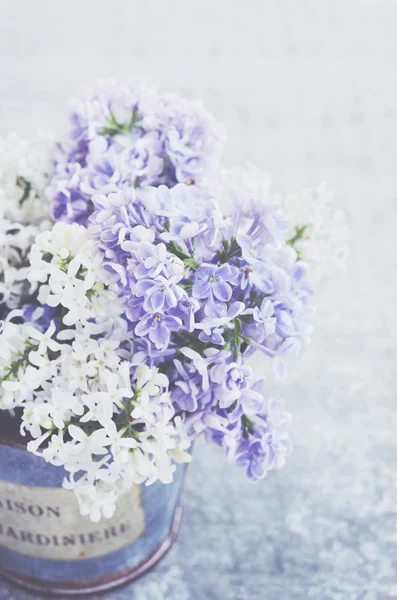 Flores lila blancas y violetas en jarrón vintage sobre fondo gris —  Fotos de Stock