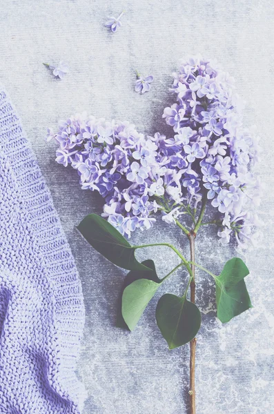 Dekoration mit lila Blumen und violett gestricktem Pullover Textur — Stockfoto