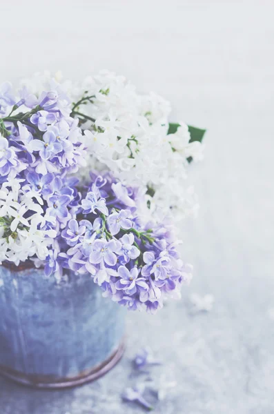 Bellissimo bouquet di lillà viola e bianchi su sfondo grigio — Foto Stock