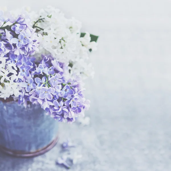 Stelletje wit en paars lila bloemen in metalen vintage emmer — Stockfoto