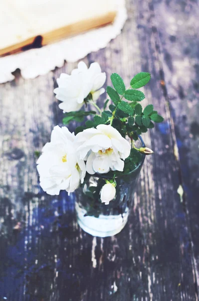Bando de rosas selvagens brancas em um copo — Fotografia de Stock
