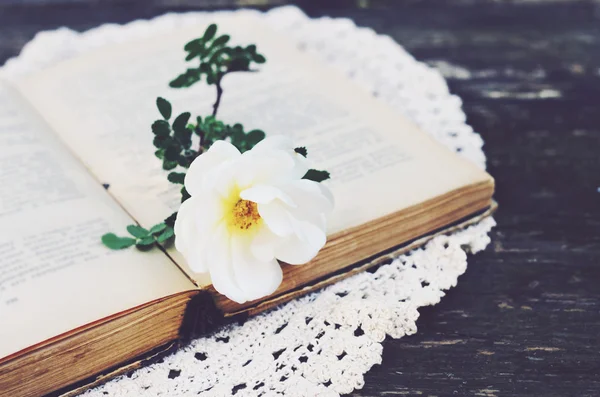 Otevřená kniha a bílý květ na krajky ubrousek — Stock fotografie