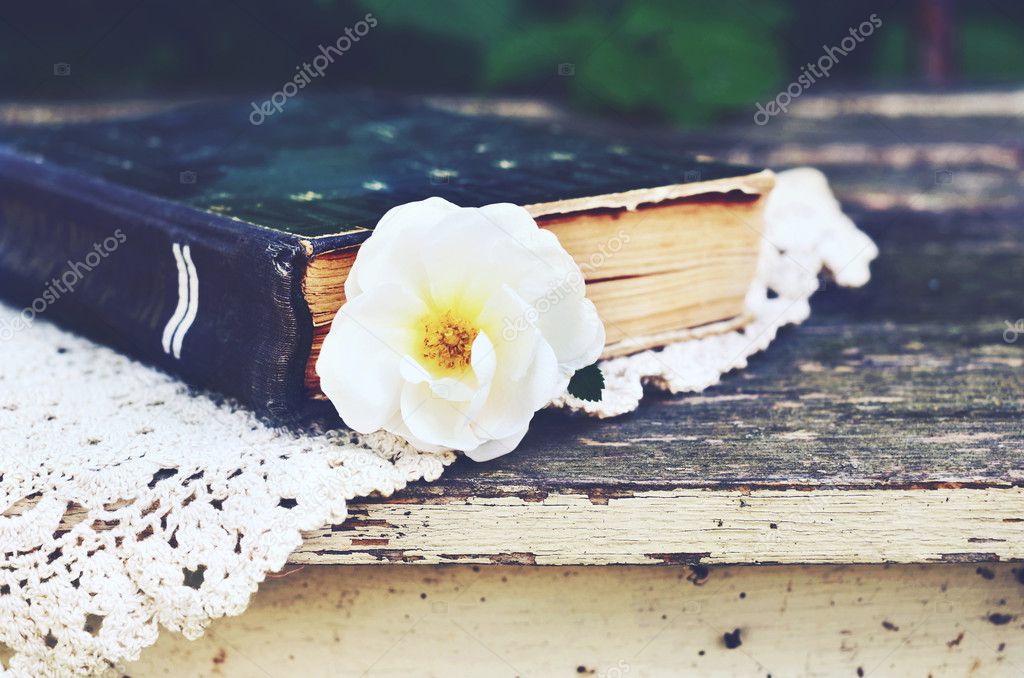 Old book and wild rose flower in summer garden
