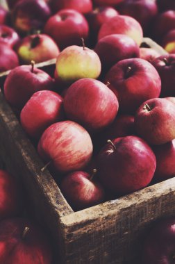 Organik elma ile ahşap konteyner