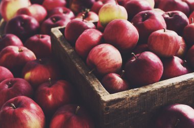 Çiftlik evi tarzı ahşap sandık kırmızı sonbahar elma