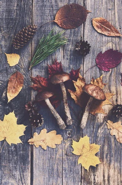 Funghi della foresta e foglie autunnali su fondo di legno — Foto Stock