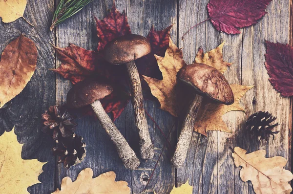 Set of forest mushrooms and colorful autumn leaves on wooden table — Stock Photo, Image