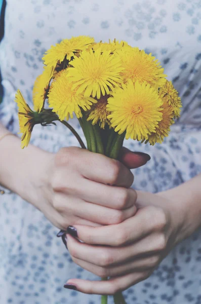 Bando de flores de dente-de-leão amarelas nas mãos da mulher — Fotografia de Stock