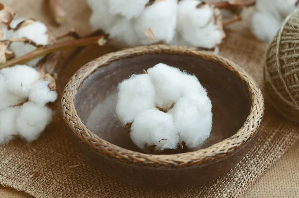 Blommig inredning med torr bomull blomma i vintage trä skål — Stockfoto