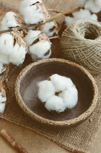 Decoración floral con flor de algodón seco en cuenco de madera vintage — Foto de Stock