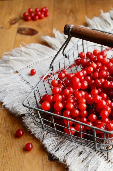 Bayas rojas de viburnum en cesta de alambre —  Fotos de Stock