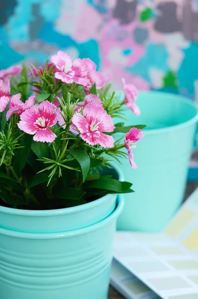 Pink flower in blue flower pot with colorful copy space — Stock Photo, Image