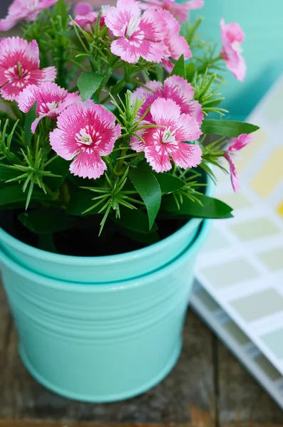 Lente roze bloem in mint bloempot op houten tafel — Stockfoto