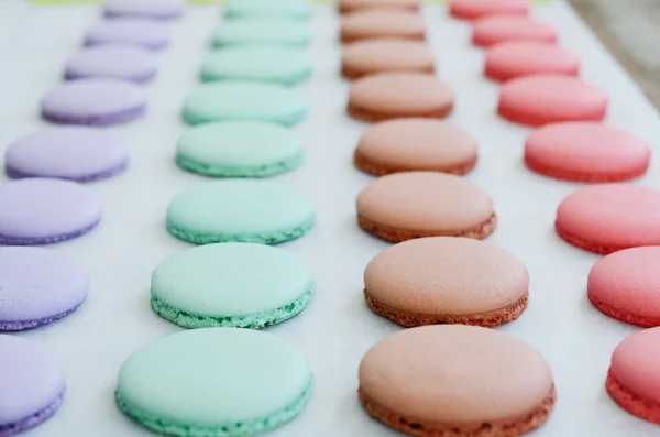 Lavendel, mint, karamell och rosa macaroon koppar över bakplåtspapper — Stockfoto