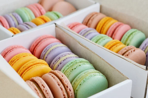 Reeks van kleurrijke macaroon in de vakken — Stockfoto