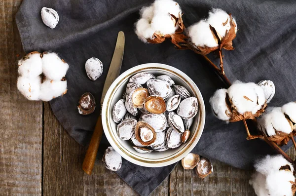 Decoration with salt apricot pits and cotton flowers — Stock Photo, Image