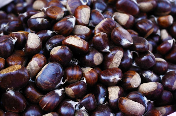 Castagne da vicino — Foto Stock