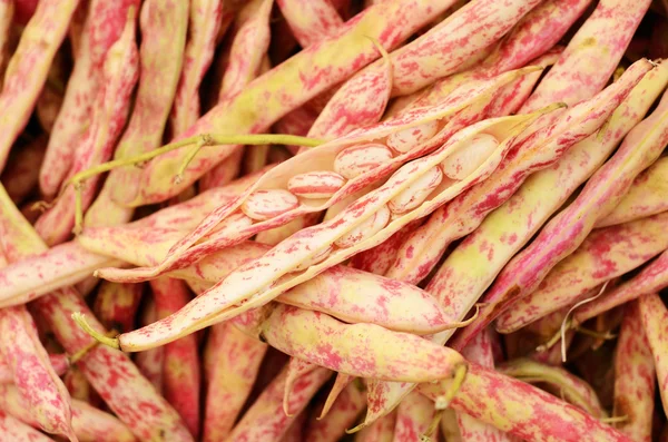 Unga röda bönor på grönsaksmarknaden — Stockfoto