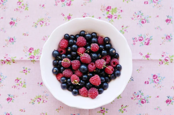 Mix di lampone selvatico e ribes nero in ciotola — Foto Stock