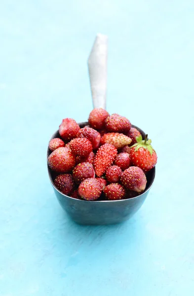 Fragola selvatica in paletta di metallo su sfondo blu — Foto Stock