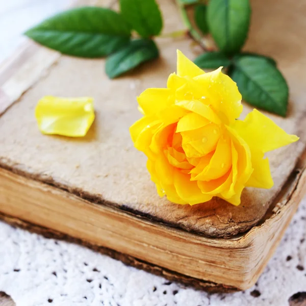 Yellow rose laying upon vintage book on lace doily — Stock Photo, Image