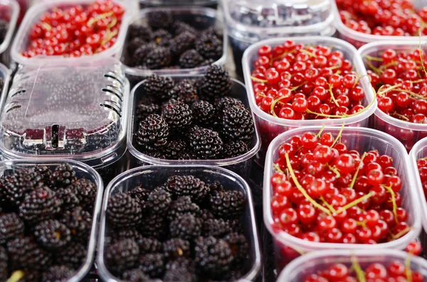 Ribes nero e rosso in contenitori di plastica al mercato — Foto Stock