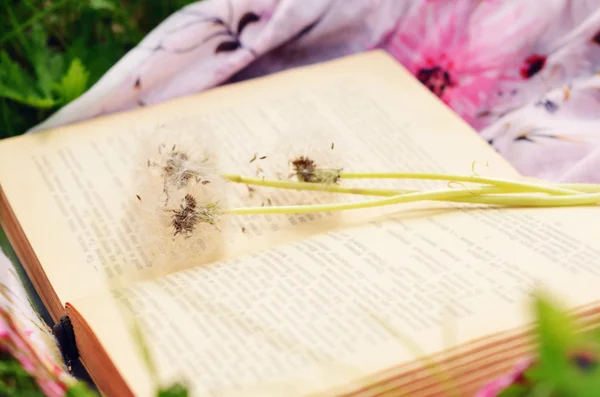 Livre vintage et fleurs de pissenlit blanc sur tissu brillant dans la prairie verte d'été — Photo