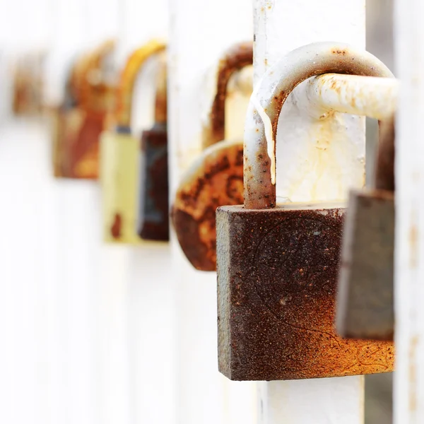 Vecchie serrature nuziali appese alla recinzione metallica — Foto Stock