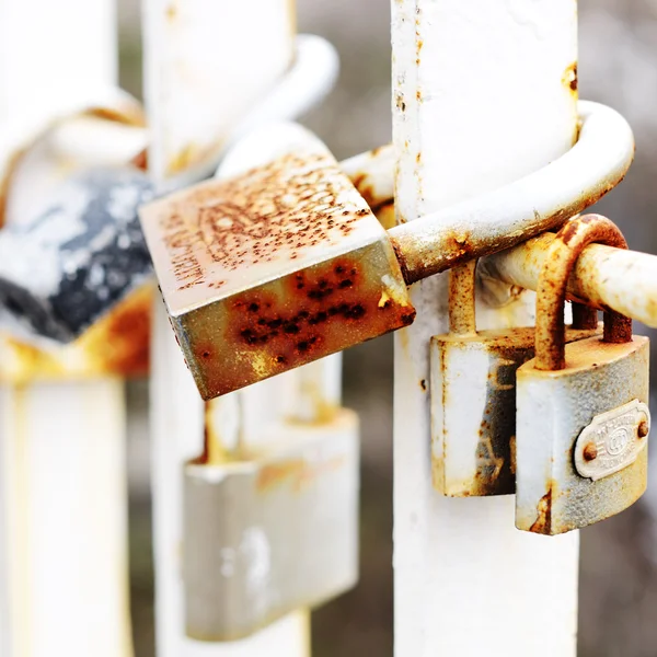 Old wedding padlocks hanging on the metal fence — Stock Photo, Image