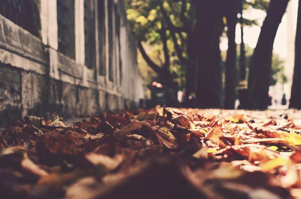 Autumn in the city — Stock Photo, Image