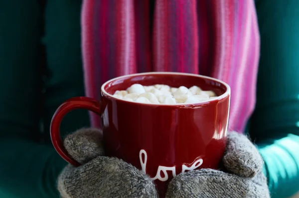 Luvas de lã segurando xícara de chocolate quente com marshmallow — Fotografia de Stock