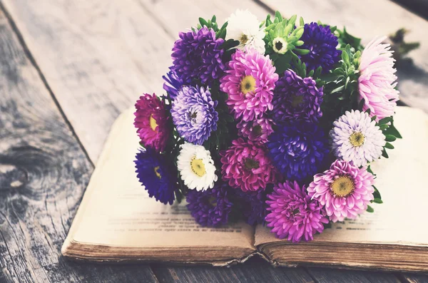 Bunch of autumn asters upon open book, vintage effect — Stock Photo, Image