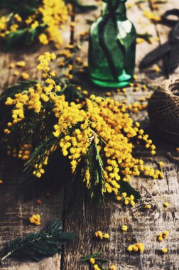 Mimoza, makas ve yeşil şişe grup ile dekorasyon