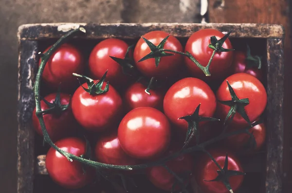 Pobočka zralé rajče cherry v dřevěné bedně — Stock fotografie