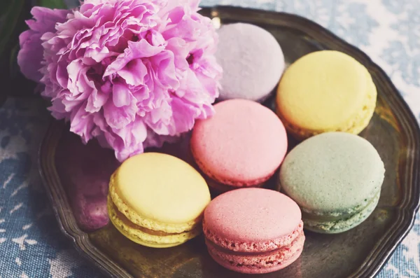 Macarrones de color pastel en una bandeja de metal y flor de peonía —  Fotos de Stock