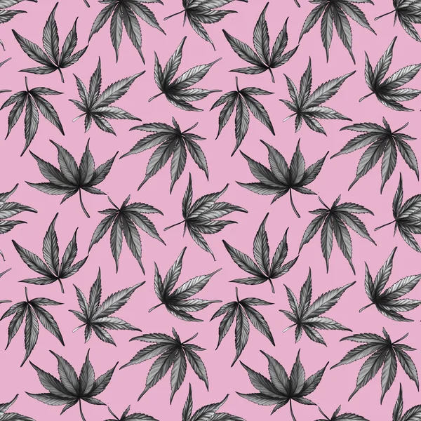 Cannabis sobre fondo rosa patrón sin costuras. Hojas de cannabis blanco y negro dibujadas a mano sobre un fondo rosa. —  Fotos de Stock