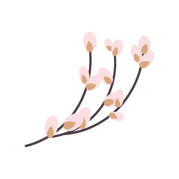 Ramoscello di salice isolato su sfondo bianco. Salice pasquale. Illustrazione vettoriale piatta. Design per Pasqua, packaging — Vettoriale Stock