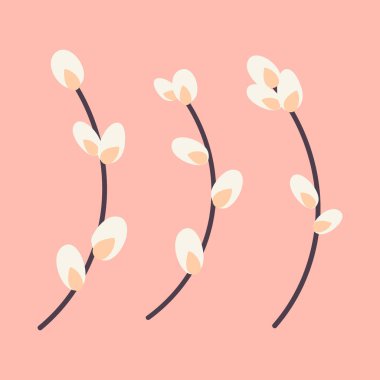  Söğüt dalı, Paskalya Söğüdü. Düz vektör çizimi. Paskalya ve ambalaj için tasarım