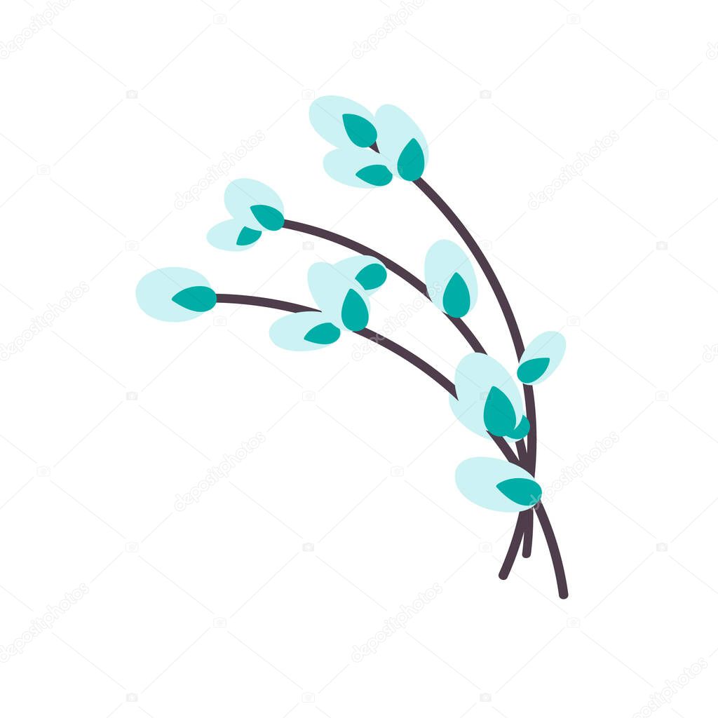  Willow twig isolated on a white background. Easter willow.Flat vector illustration. Design for Easter, packaging