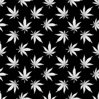 Kenevir pürüzsüz desen. Siyah arka planda beyaz kenevir yaprakları. Marijuana desenli vektör çizimi