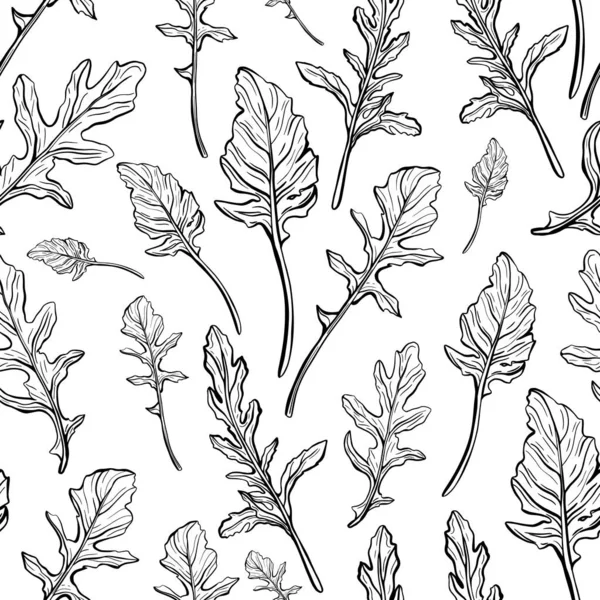 Arugula seamless pattern. Arugula leaves on a white background. Spicy and aromatic Italian seasoning. Hand-drawn vector illustration — Stock Vector