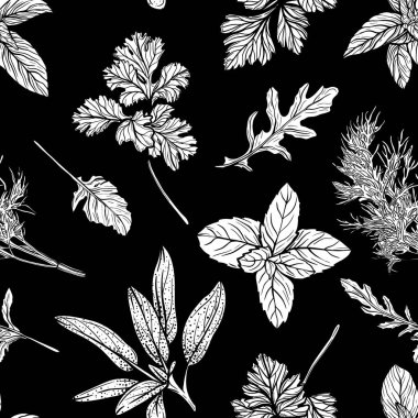 Yabani otlar pürüzsüz desen. Otlar, bahçe bitkileri, yararlı baharatlar. El çizimi vektör illüstrasyonu