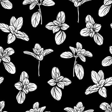  Fesleğensiz desen. İtalyan otları. Marjoram filizi. Fesleğen, mis kokulu bir baharattır. El çizimi illüstrasyon