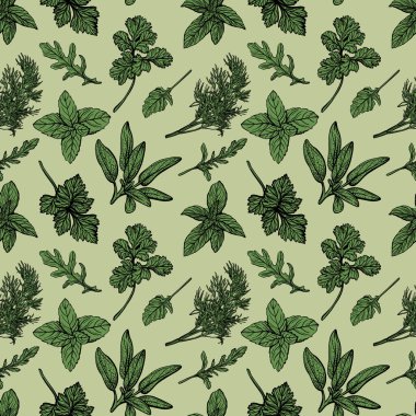 İtalyan ve Provencal otlar kusursuz desenli. Akdeniz baharatları ve şifalı otlar. El çizimi vektör illüstrasyonu