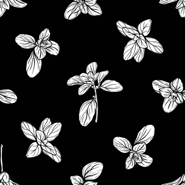 Basil Seamless Pattern. Erbe italiane.Un rametto di maggiorana. Il basilico è un condimento profumato e profumato. Illustrazione disegnata a mano — Vettoriale Stock