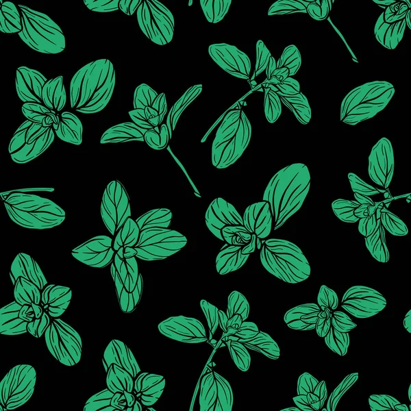 Basil Seamless Pattern. Italienische Kräuter.Ein Zweig Majoran. Basilikum ist eine duftende und duftende Gewürzmischung. Handgezeichnete Illustration — Stockvektor