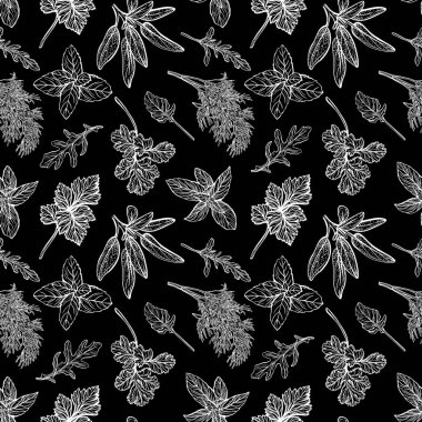 İtalyan otları pürüzsüz desen. Provenkal baharatlar ve şifalı bitkiler. Akdeniz mutfağı. El çizimi vektör illüstrasyonu